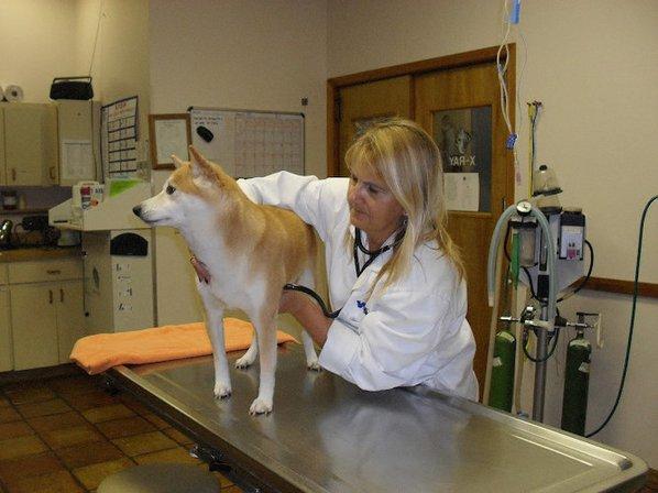 VCA Lockwood Ridge Animal Hospital