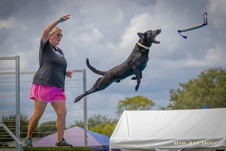 Florida K9 Sports