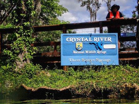 Explorida - Manatee Swim Tours