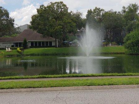 Cypress Falls At Palm Harbor