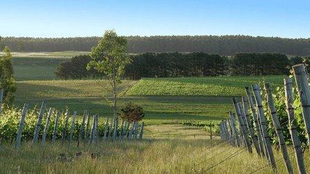 Uruguay Wine Company