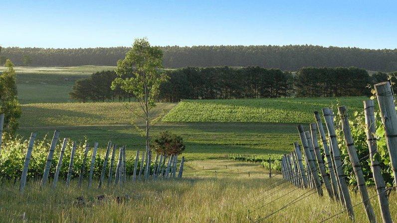 Uruguay Wine Company