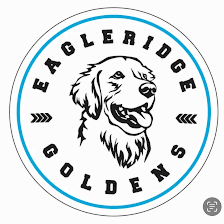 Eagleridge Golden Retrievers