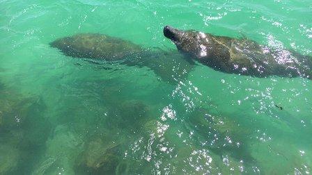 Longboat Bay Charters