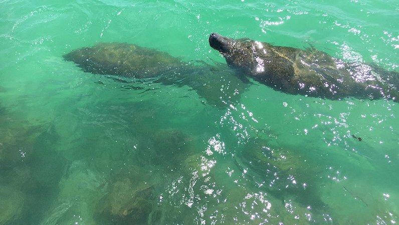 Longboat Bay Charters