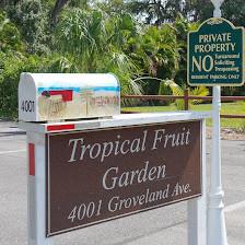 Tropical Fruit Garden Sarasota