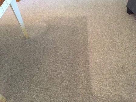 Elite Cleaning, Inc.