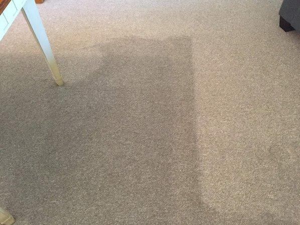 Elite Cleaning, Inc.