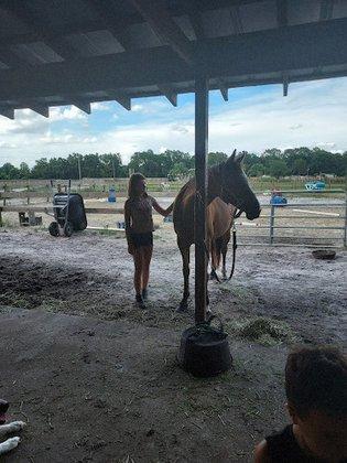 3 Sisters and a Dude Horse Ranch