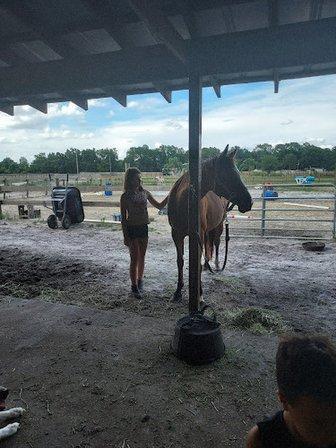 3 Sisters and a Dude Horse Ranch