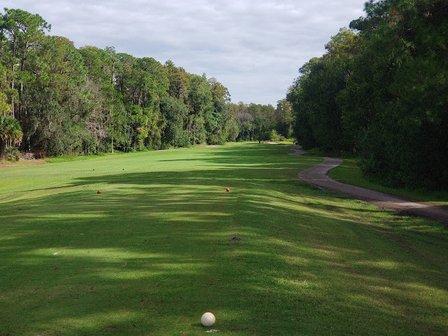 Lansbrook Golf Club Maintenance