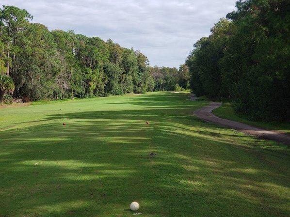 Lansbrook Golf Club Maintenance