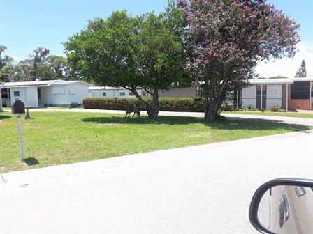 Tri-Par Estates Park & Rec
