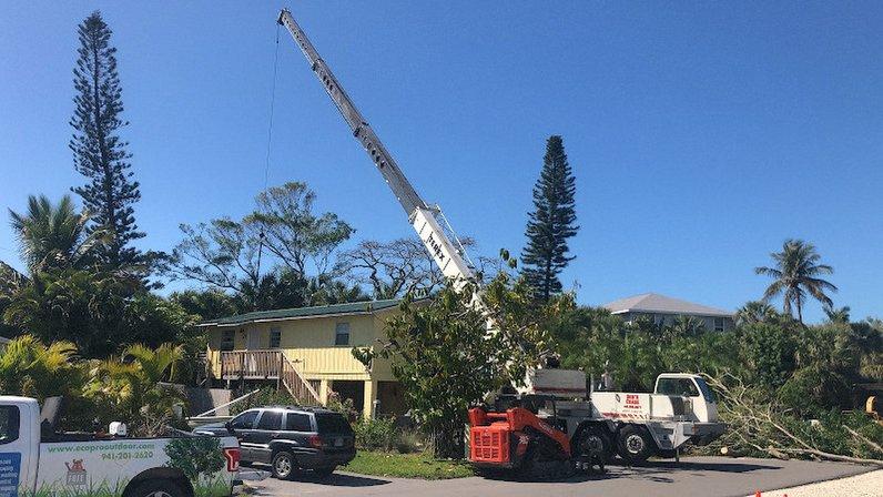 Ecopro Outdoor Solutions: Tree Service Provider
