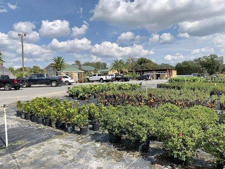 Aventura Nursery & Landscape Inc