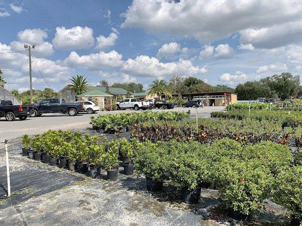Aventura Nursery & Landscape Inc