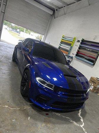 Fox Glass Tinting