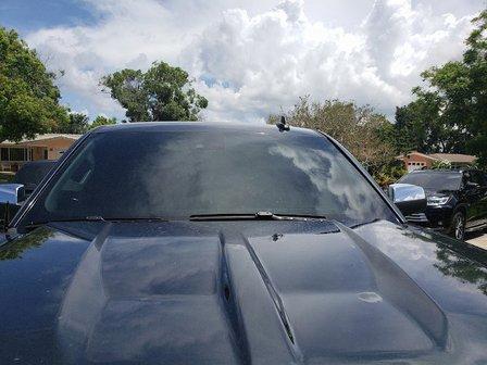 Bayside Tint