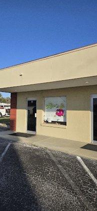 Alice's Accounting & Tax Services