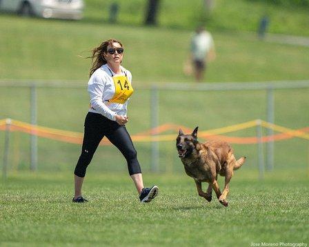 Dogsport4u Academy