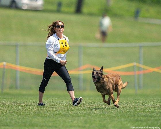 Dogsport4u Academy