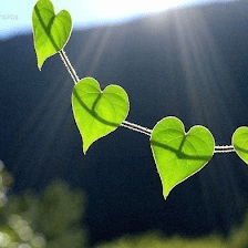 Whole Person Healing Massage & Holistic Practices