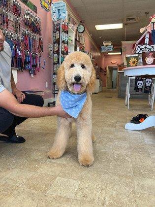 Furry Tails Pet Grooming