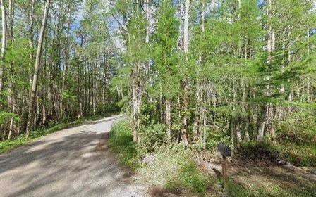 Guy's Tree and Land Services, LLC