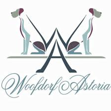 Woofdorf Astoria of Lakewood Ranch