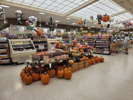 Publix Super Market at Springs Plaza