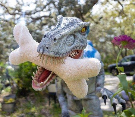 Suncoast Dinosaurs