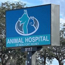 Animal Hospital of New Port Richey