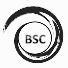 The Benefit Solution Center, Inc.