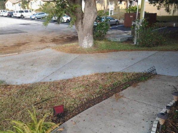 Pressure Washing Palm Harbor