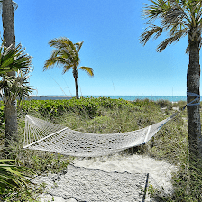 LaPlaya Condominiums
