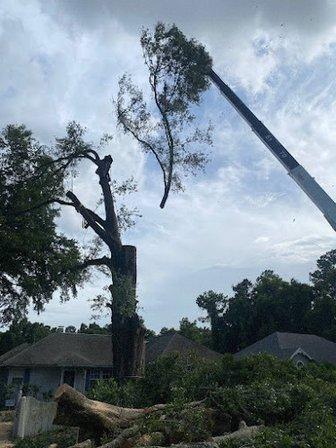 Tree Service Legends