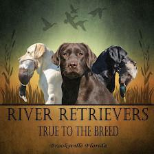 River Retrievers