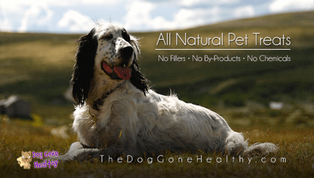 Dog Gone Healthy