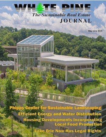 White Pine the Sustainable Real Estate Journal