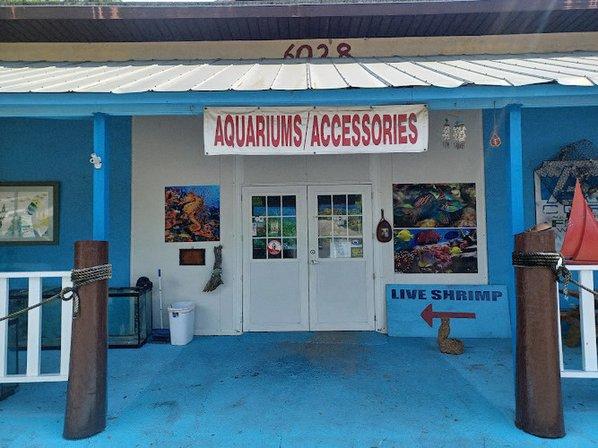 aquatic visions