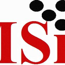 MSI Toner