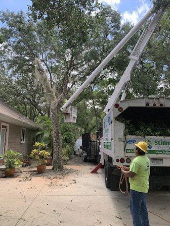 Stillman's Tree Service