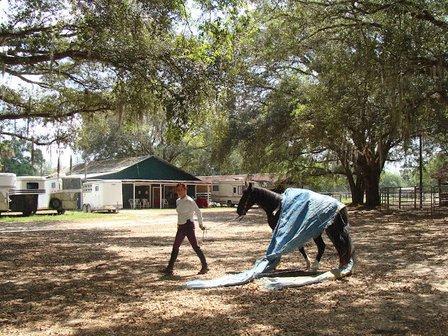 Glover's Stables