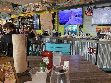 Bar fly Safety Harbor