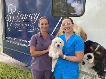 Legacy Canine Reproduction and Wellness