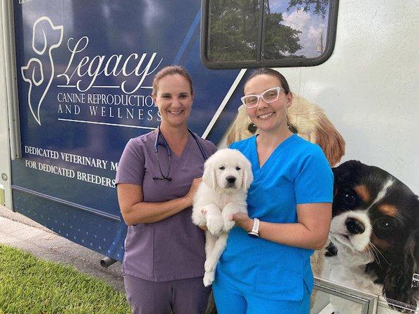 Legacy Canine Reproduction and Wellness