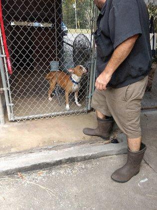 Lo-Oaks Kennels