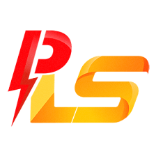 POWER & LIGHTING SOLUTIONS FL CORP
