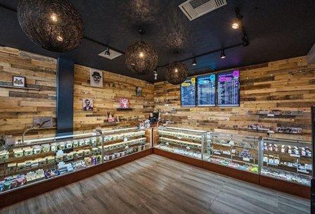 Premiumpsychedelicsstore