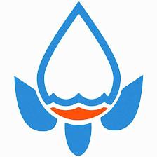 Best Pool Services